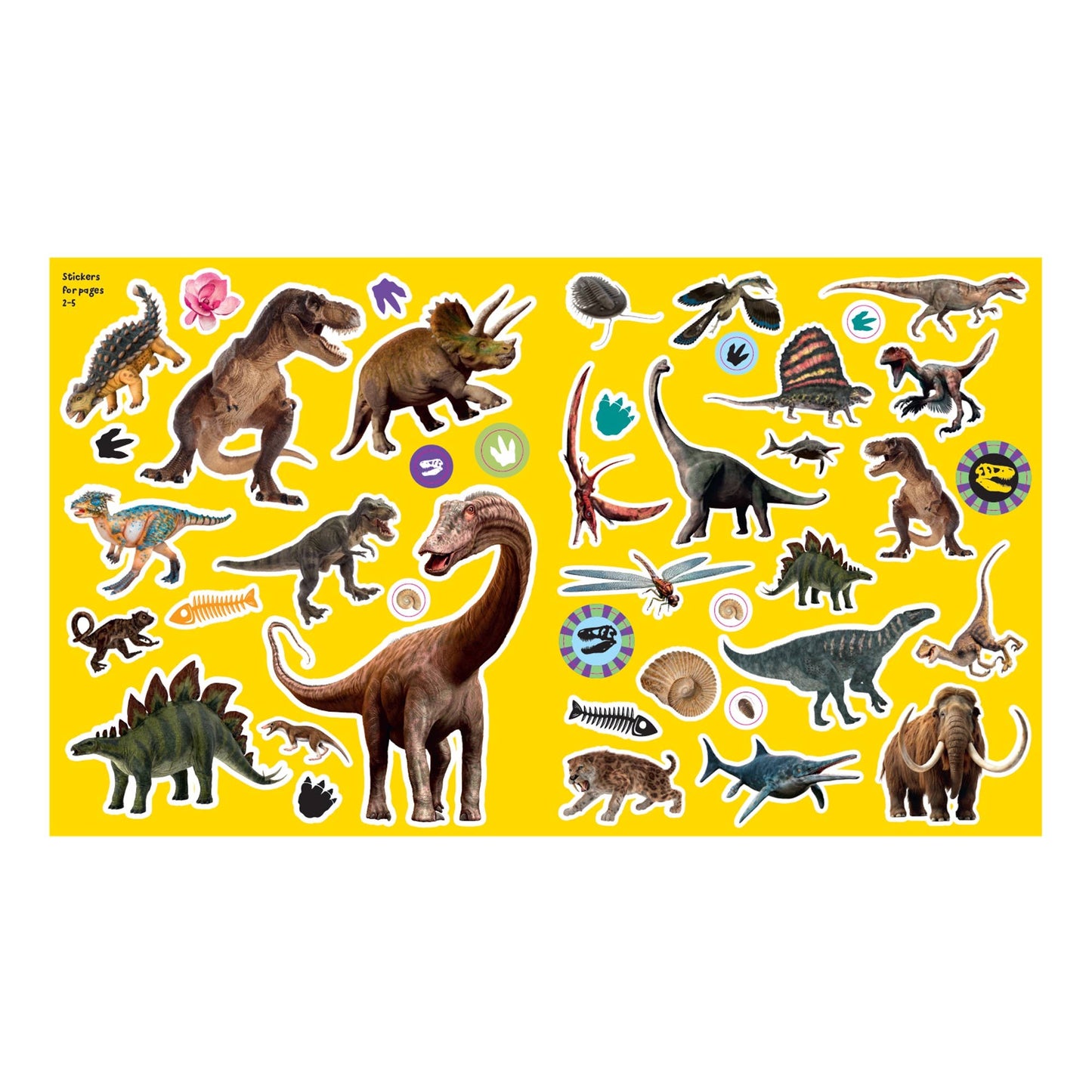 Dinosaur Stickers - A Create-and-Keep Sticker Book!