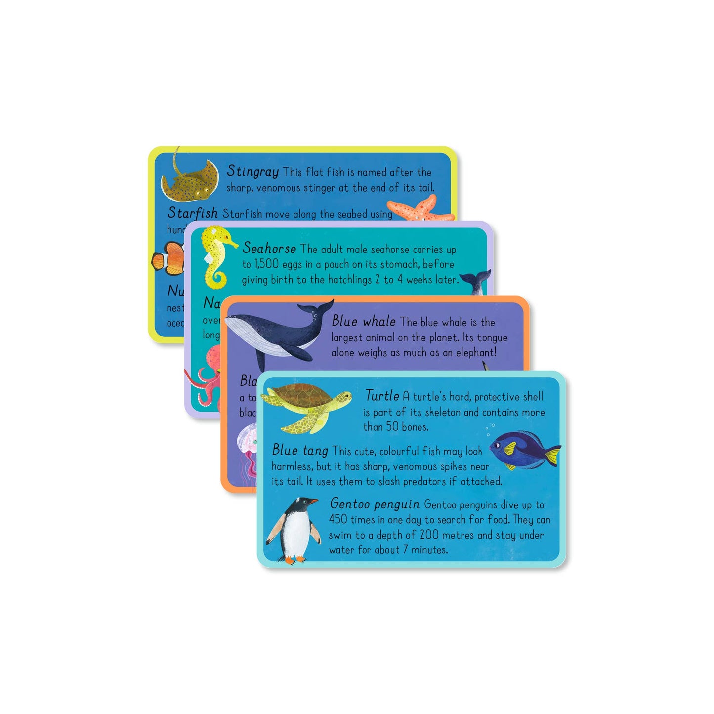 Ocean Snap! With 2 Bonus Fact Cards