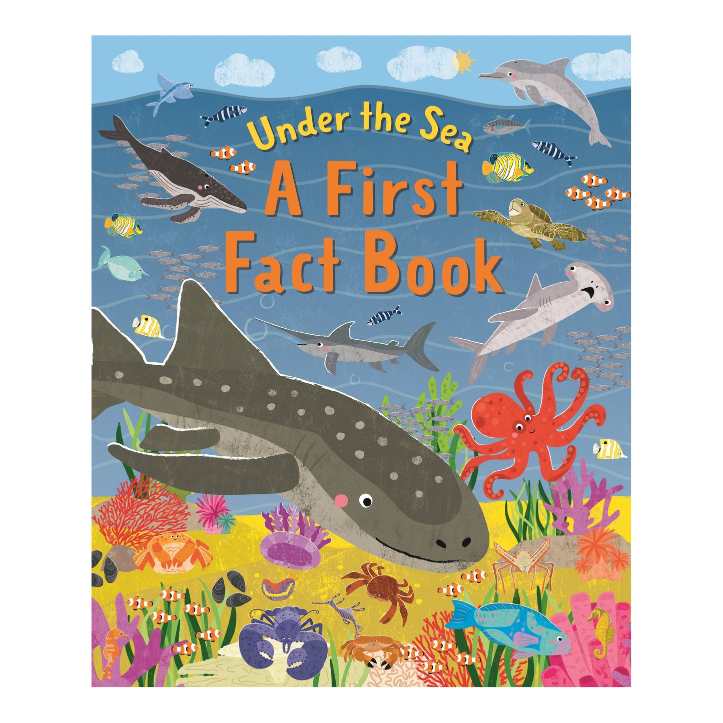 Under The Sea A First Fact Book
